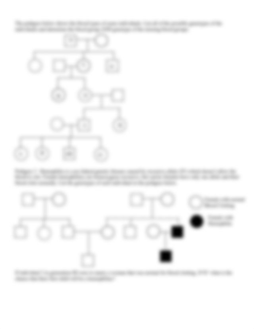 Build a Pedigree Activity Practice (1).doc_djmrdm3kfrj_page2