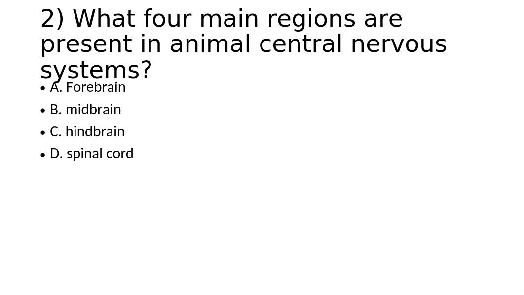 Brain Homework.pptx_djms5k3gjty_page3