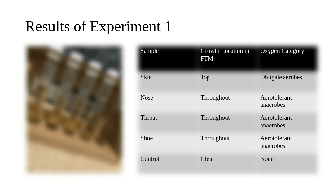 Week 6 Lab.pdf_djn651e4w4g_page5