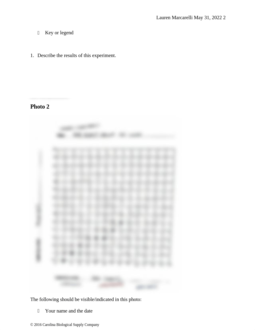 intro to graphing lab.docx_djn7yaom7wq_page3