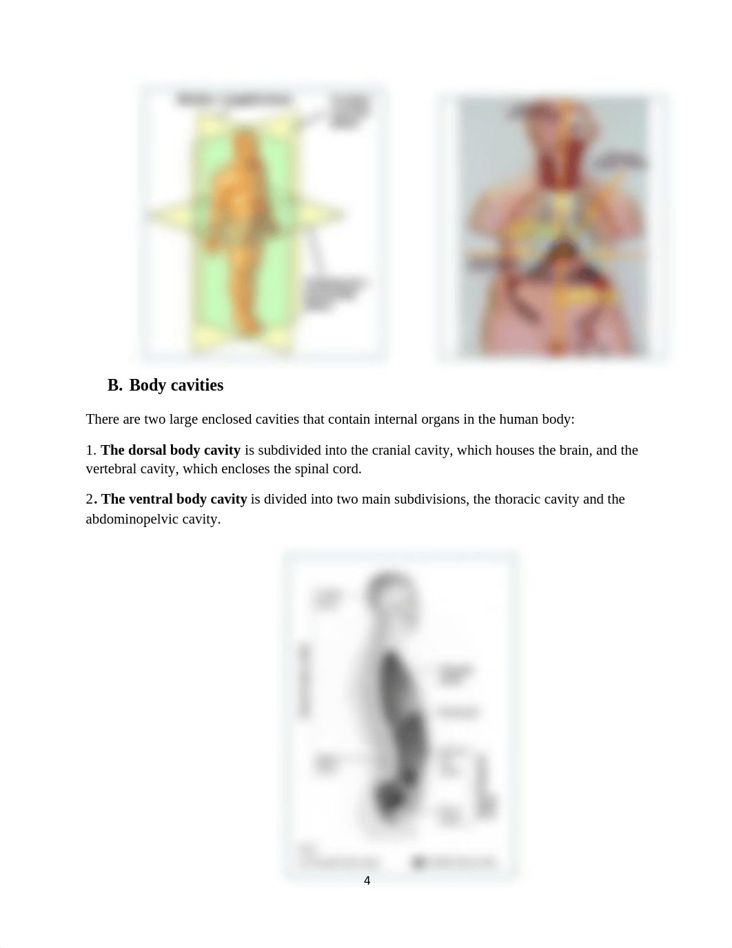 Biology lab manual.pdf_djnh0zom4e1_page4