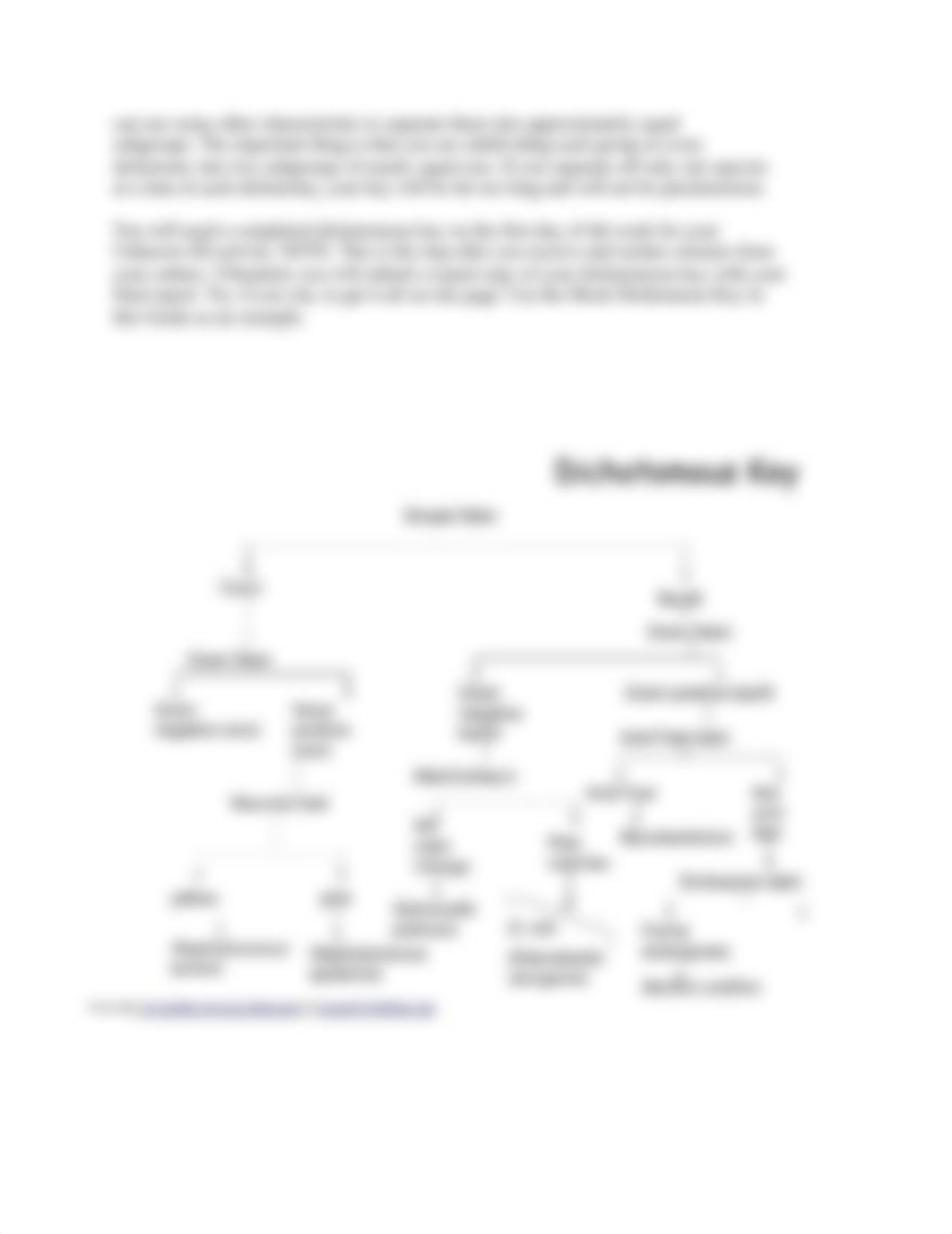 Identifying_Unknown_Bacterium-Guide.docx_djnjnbqqy59_page2