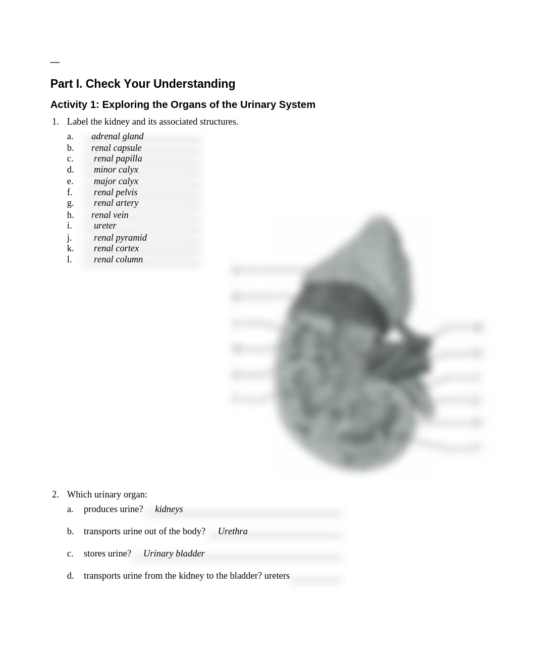 Unit 14 laboratory exercise 30_djnk5s6ubk7_page1