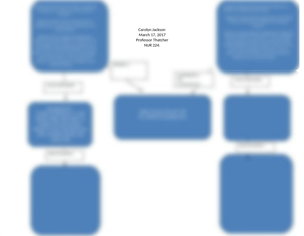 NUR 224 Week 8 Concept map Skyler Hansen.docx_djnobt78lx5_page1