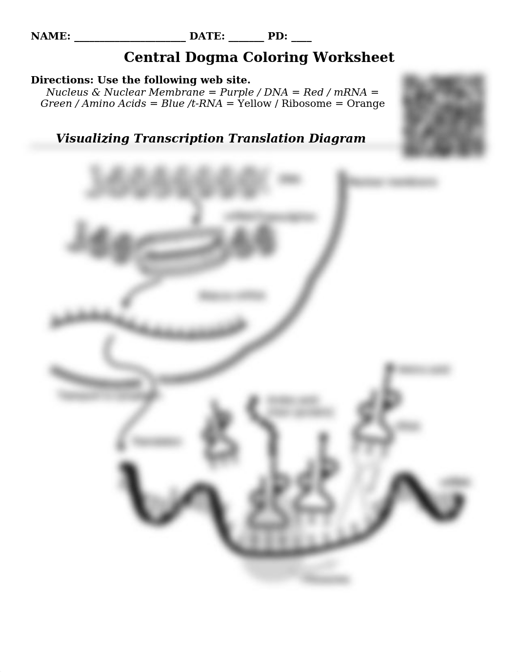 Central Dogma Coloring W.S..docx_djnovjo5py8_page1