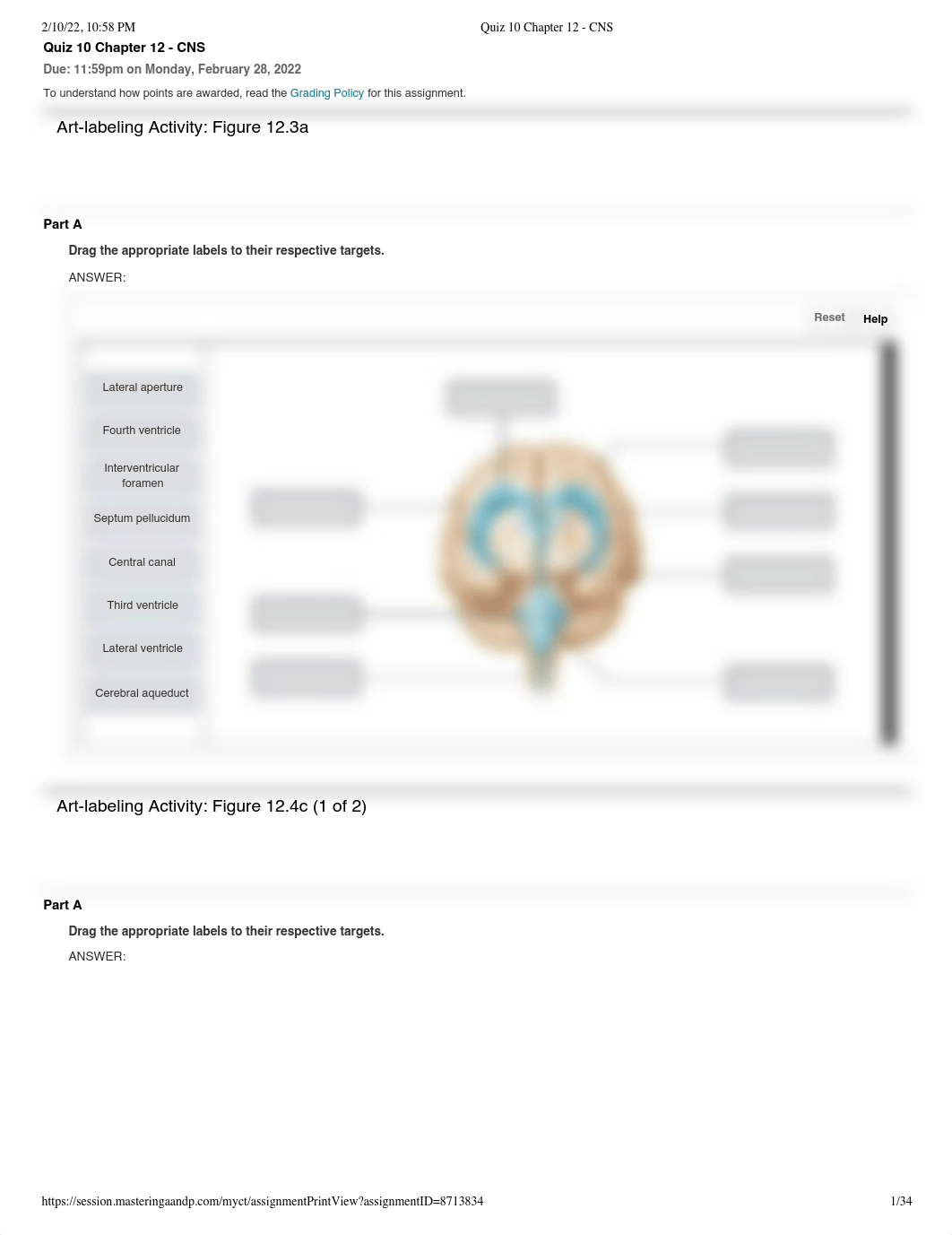 Quiz 10 Chapter 12 - CNS.pdf_djnsjtkitjs_page1