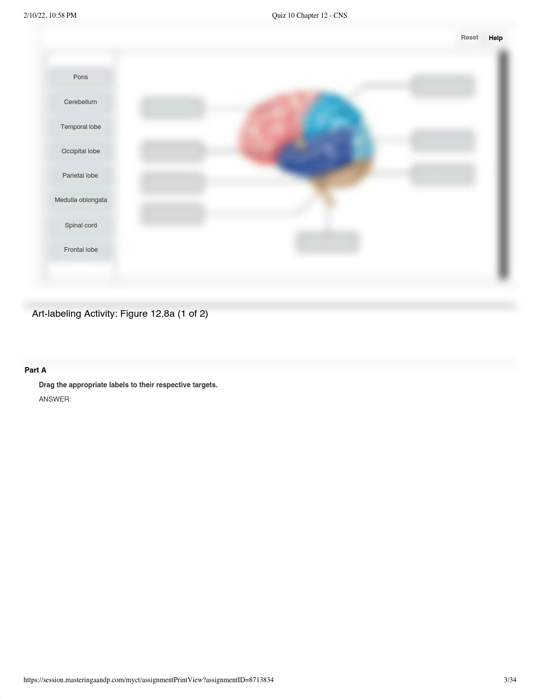 Quiz 10 Chapter 12 - CNS.pdf_djnsjtkitjs_page3