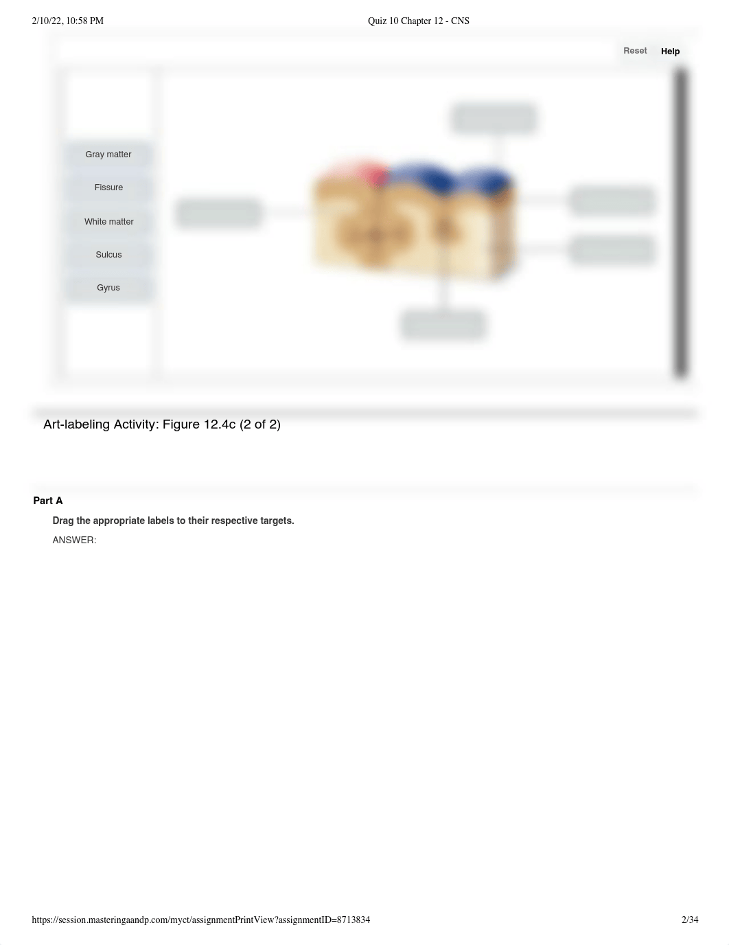 Quiz 10 Chapter 12 - CNS.pdf_djnsjtkitjs_page2