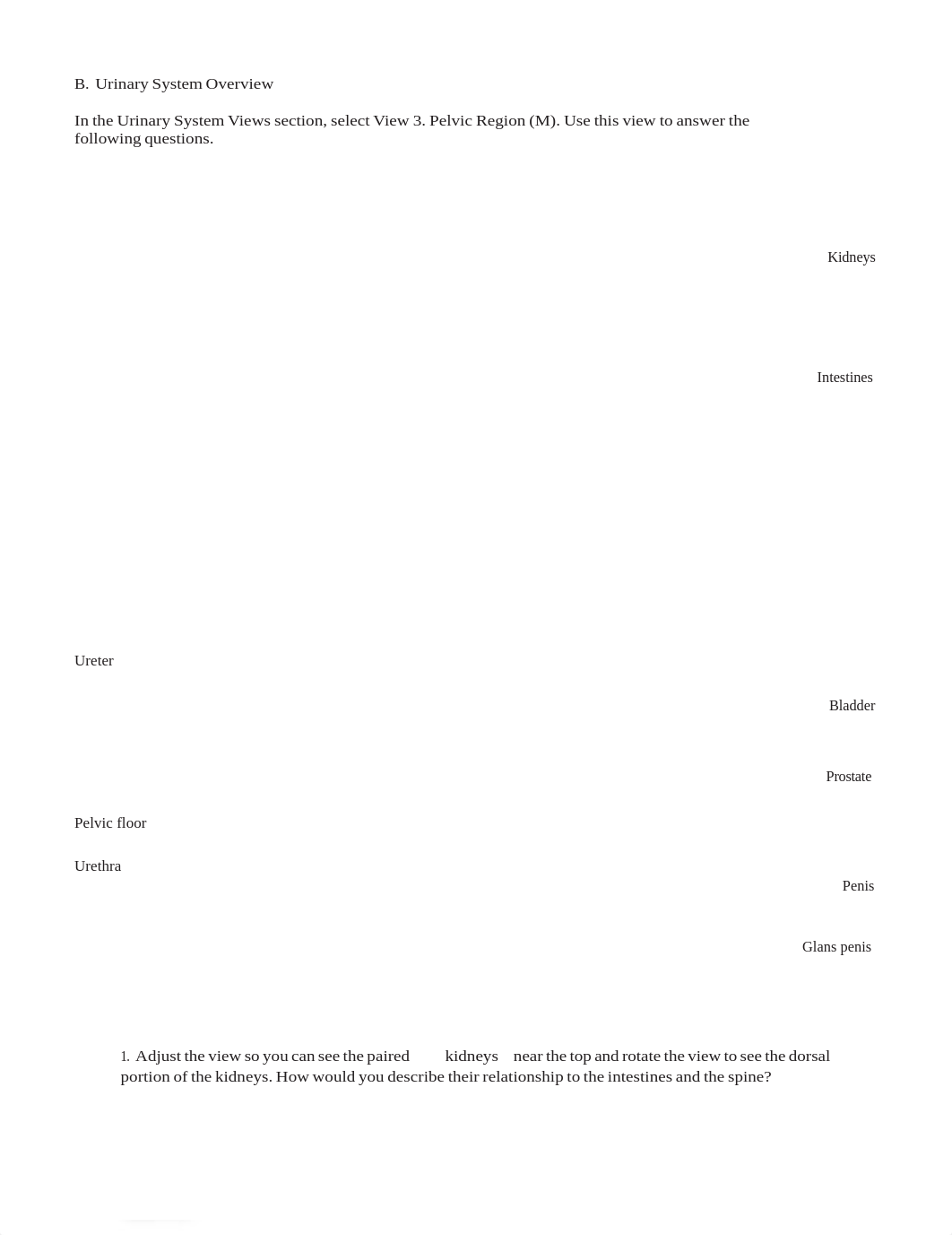 lab manual_urinary_atlas.pdf.pdf_djo1z0pg2r8_page5