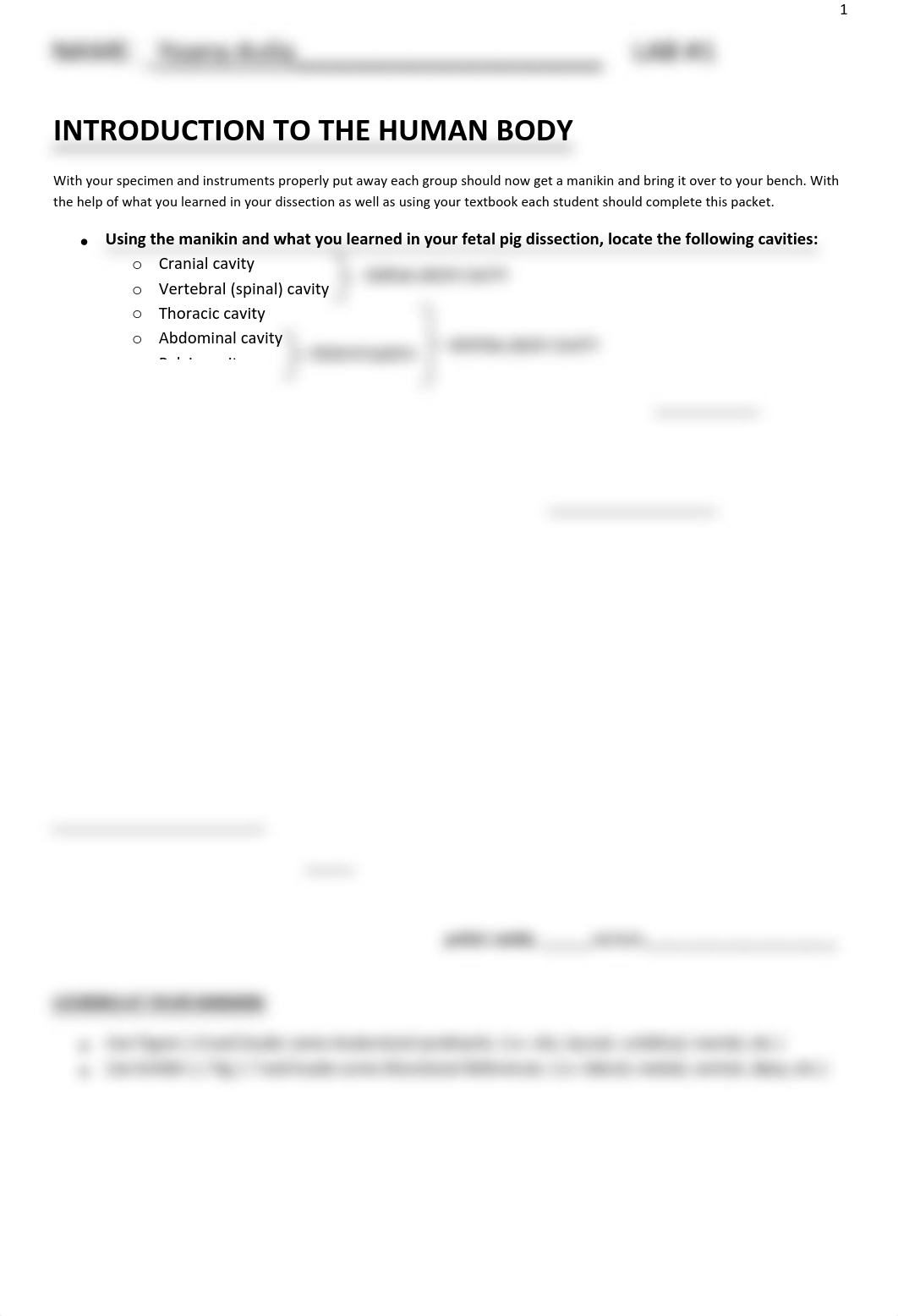 AP LAB 1.pdf_djo3aoxldq9_page1