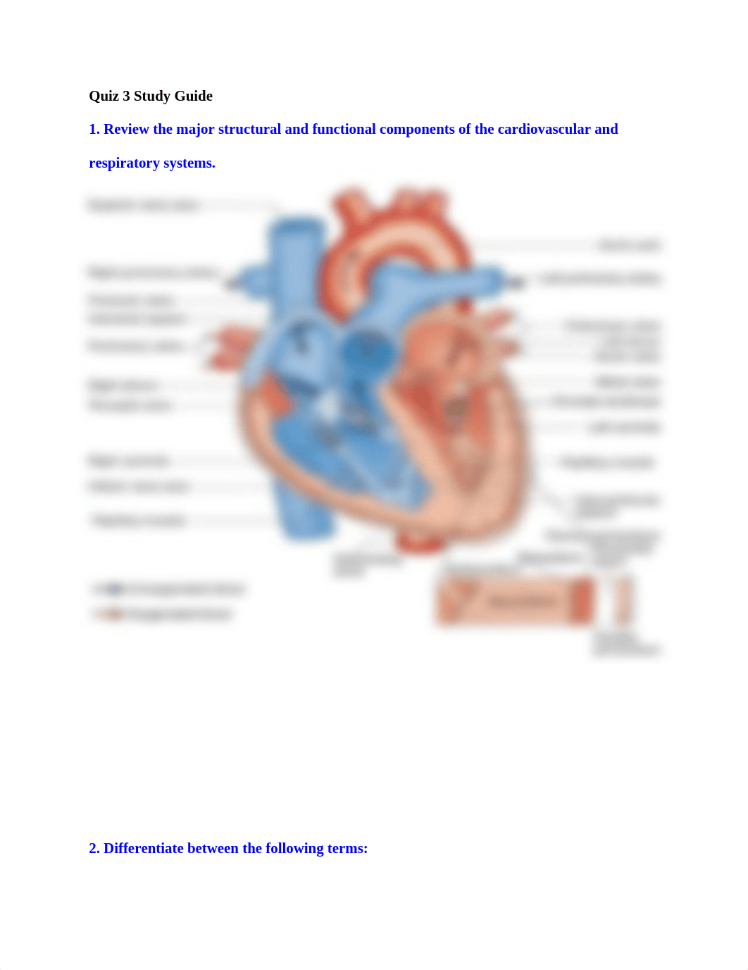 Quiz 3 Study Guide.docx_djo7pjw8581_page1