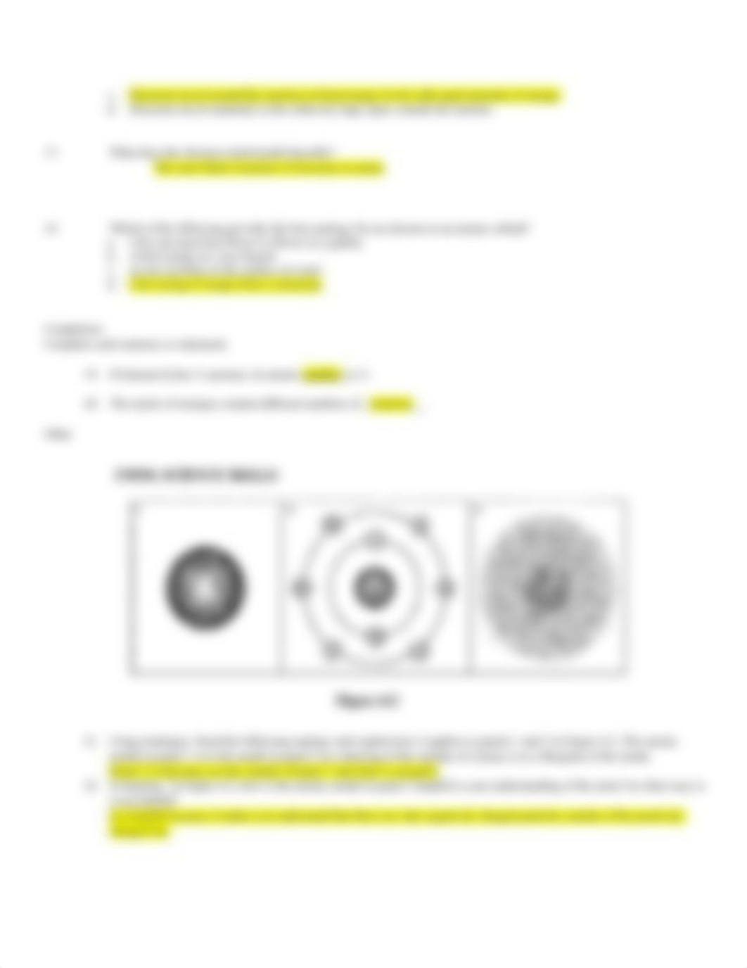 chapter 4 study guide.rtf_djocwm6v9lt_page3