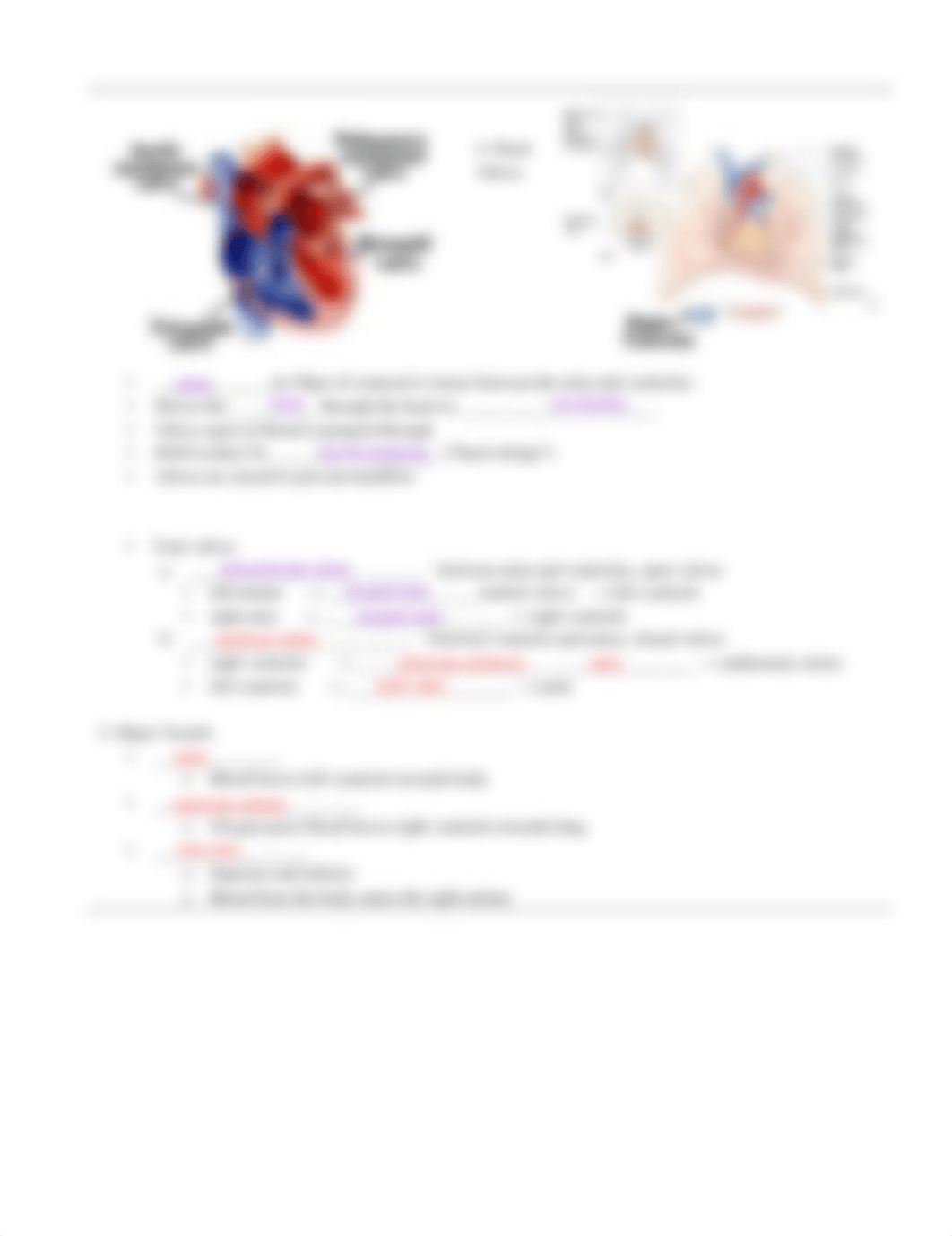 cardiovascular_system_notespt1_(1)-1.pdf_djoghcj24w2_page2