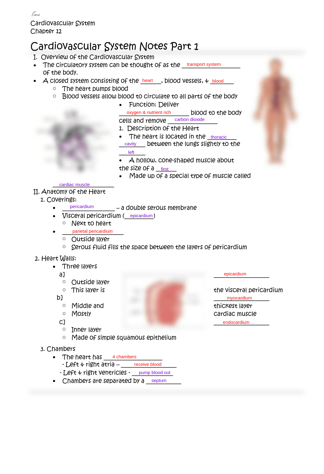 cardiovascular_system_notespt1_(1)-1.pdf_djoghcj24w2_page1