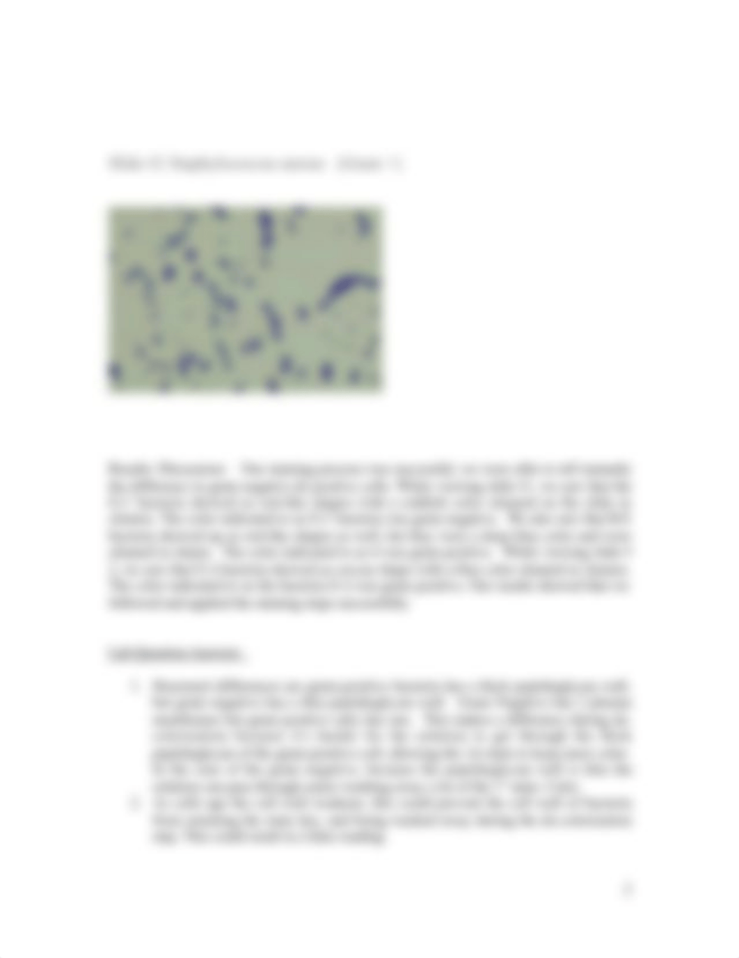 Lab Report #1 (Gram Stain)2.docx_djok72tvi4v_page2