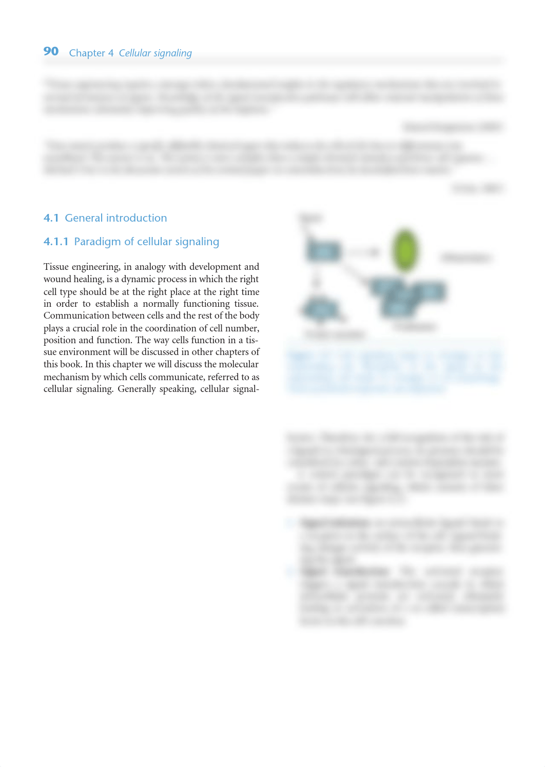 Chapter-4---Cellular-signaling_2008_Tissue-Engineering.pdf_djoupfqxr3q_page2