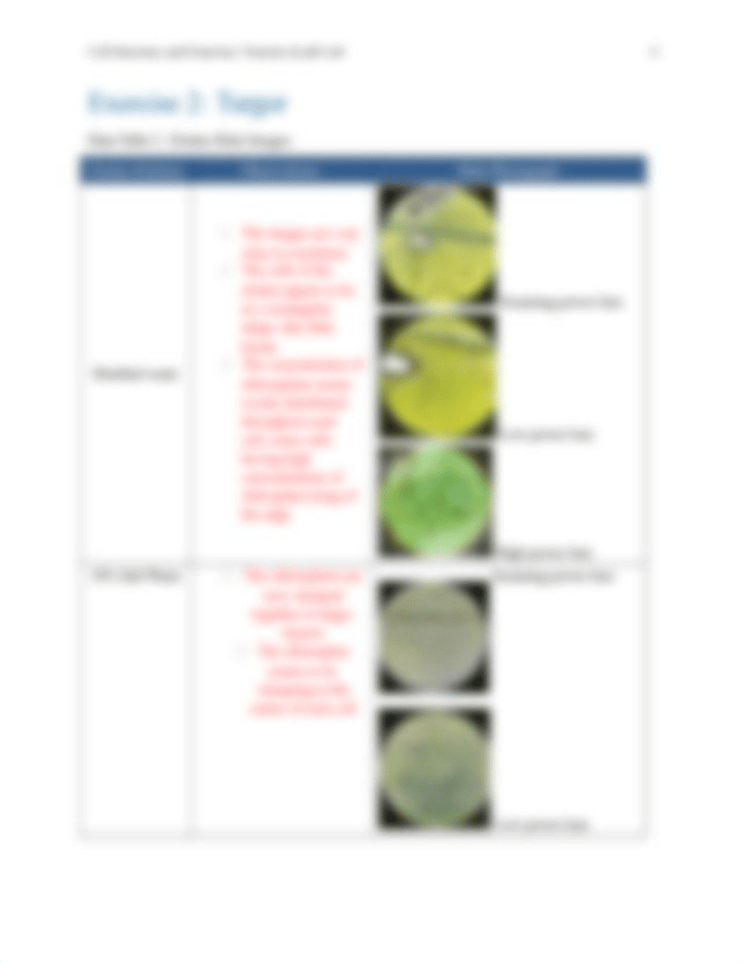 BIO111-Lab-5-Cell-Str-Func-Tonic-pH-Lab-Rep-Asst_djoupm0wdm7_page4