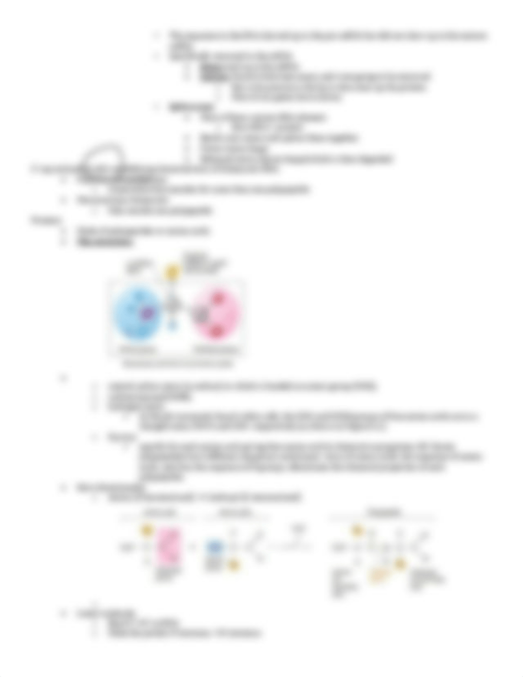 BIO-239_Exam2 Review Sheet.pdf_djowjq3871r_page3