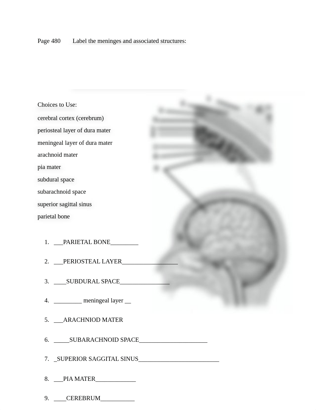 Lab #10 Summer 2020.pdf_djoxi8mu773_page4