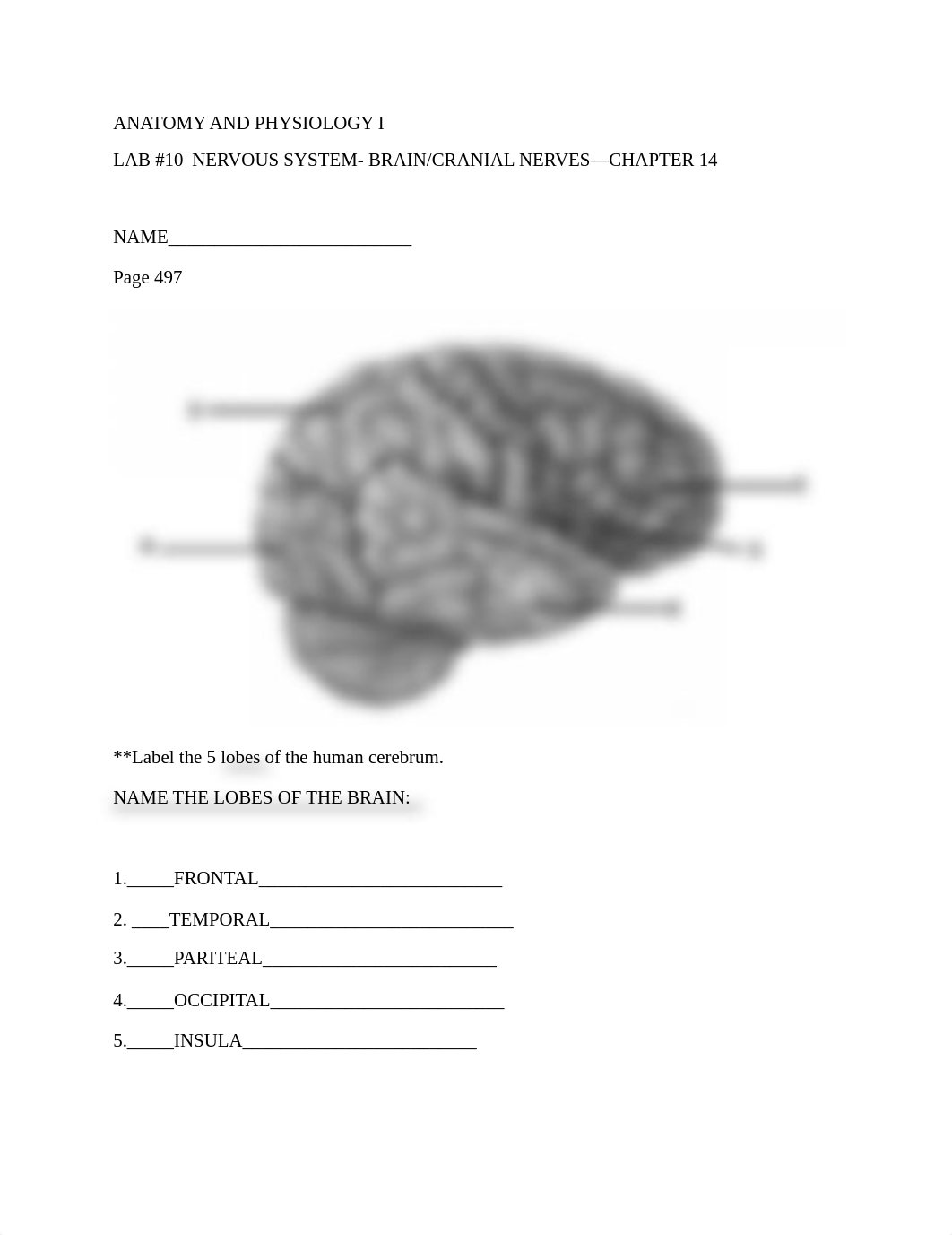 Lab #10 Summer 2020.pdf_djoxi8mu773_page1