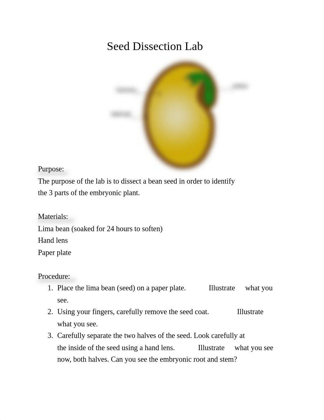 Seed_Dissection_Lab_Directions.pdf_djp5y4ui7oq_page1