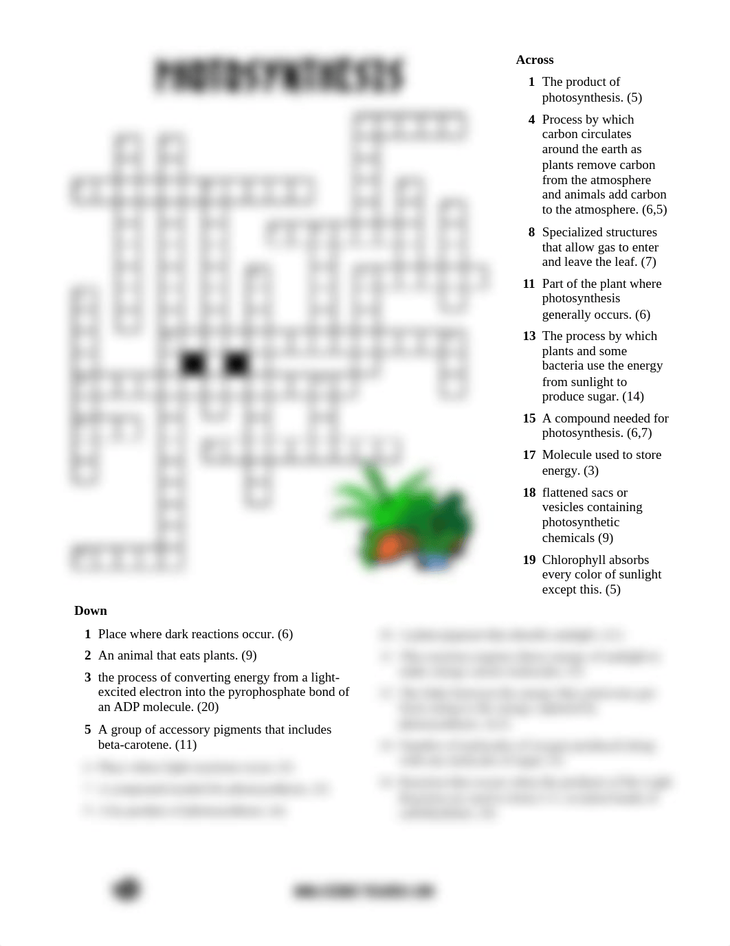 photosynthesiscrossword1.doc_djp7g8c6dem_page1