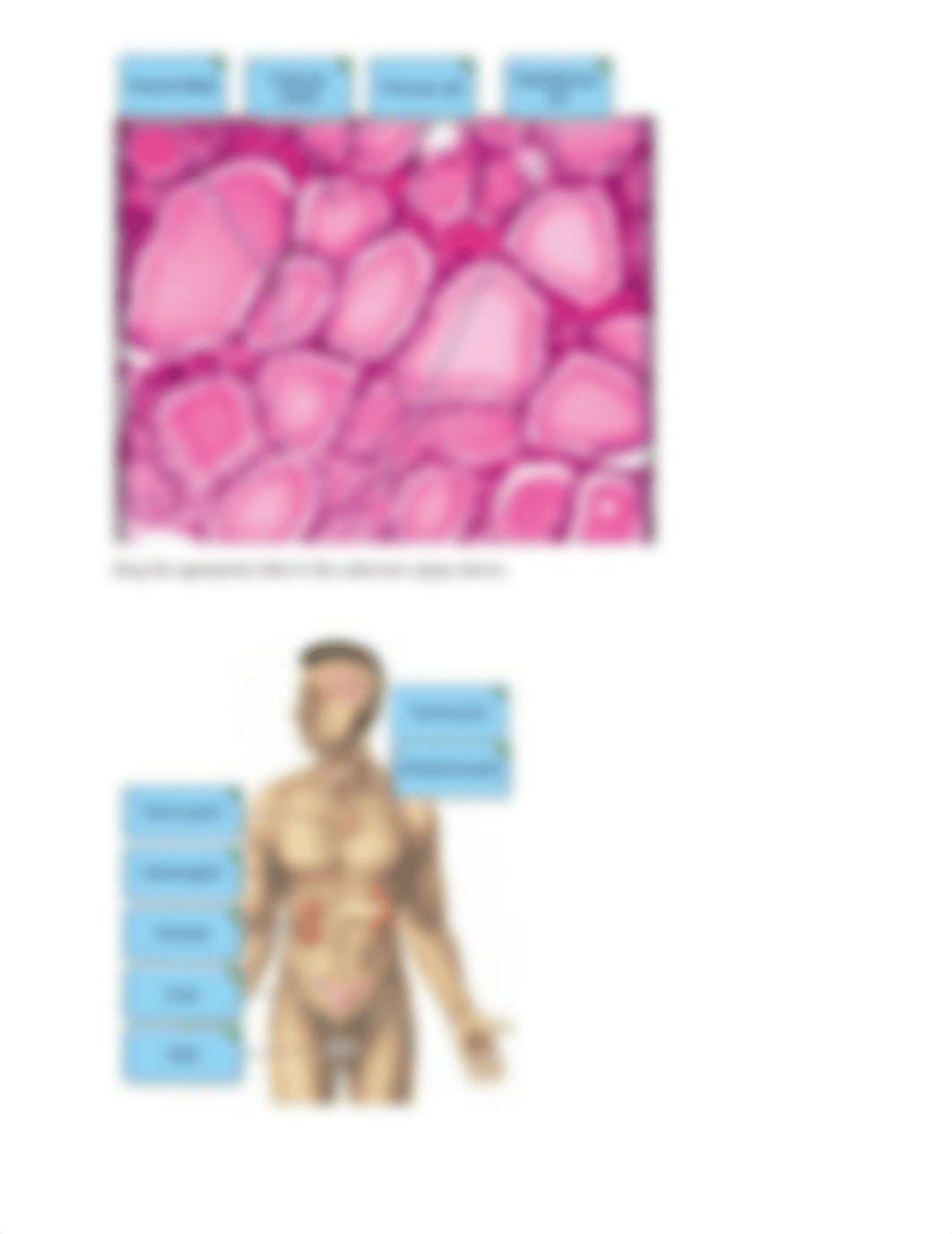 Lab practical 1.docx_djpjto44d5r_page5