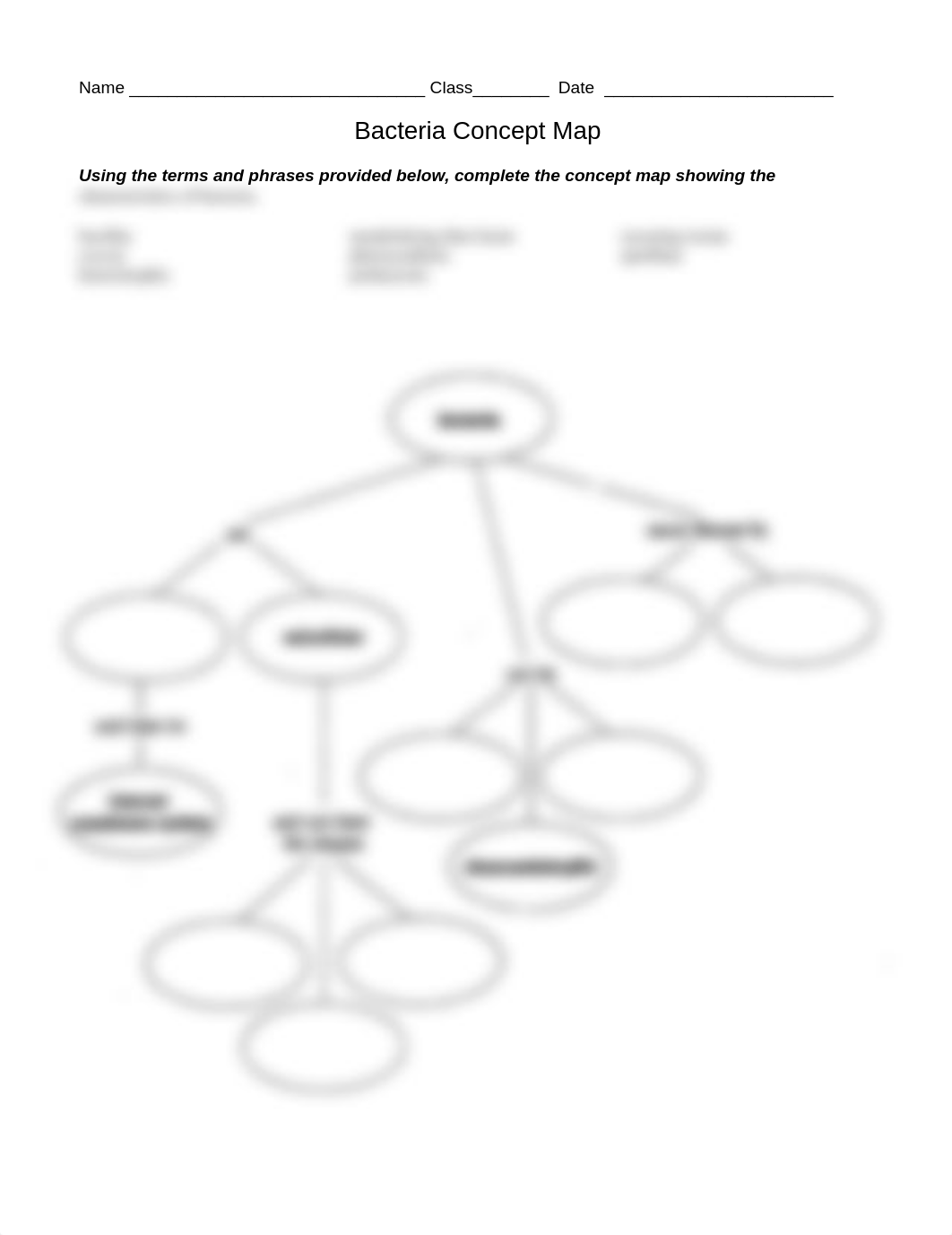 Bacteria Concept Map Worksheet.doc_djpkfg8fnbk_page1