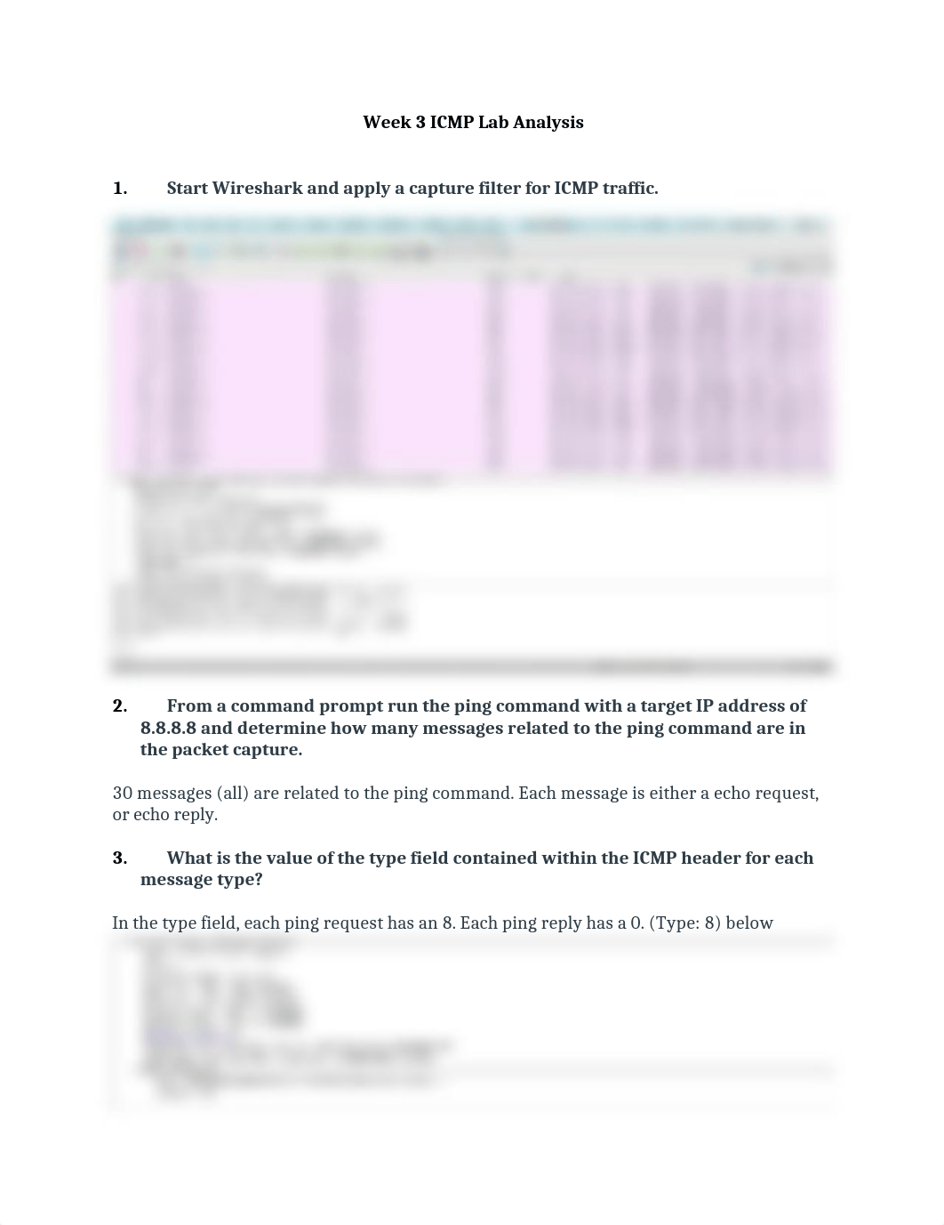 Vincent_Week3LabICMPAnalysis.docx_djpmxejwmg0_page1