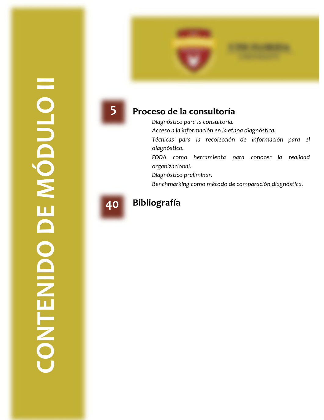 Módulo II Consultoría de Recursos Humanos Internacionales.pdf_djprj250gr6_page3