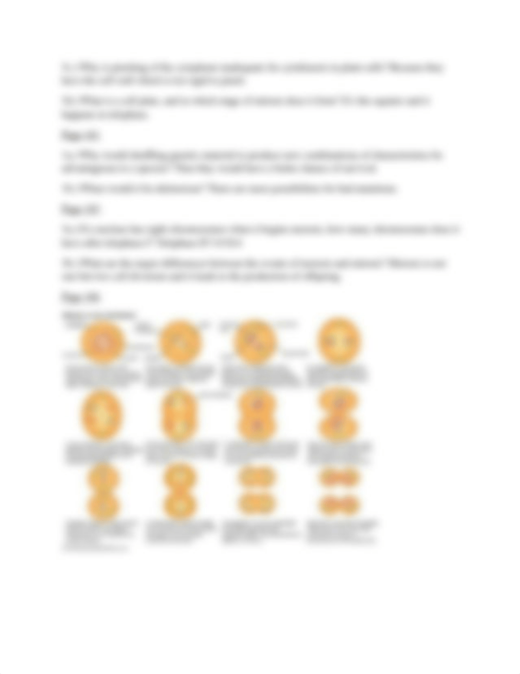 meiosis and mitosis question set_djq08g6fgar_page2