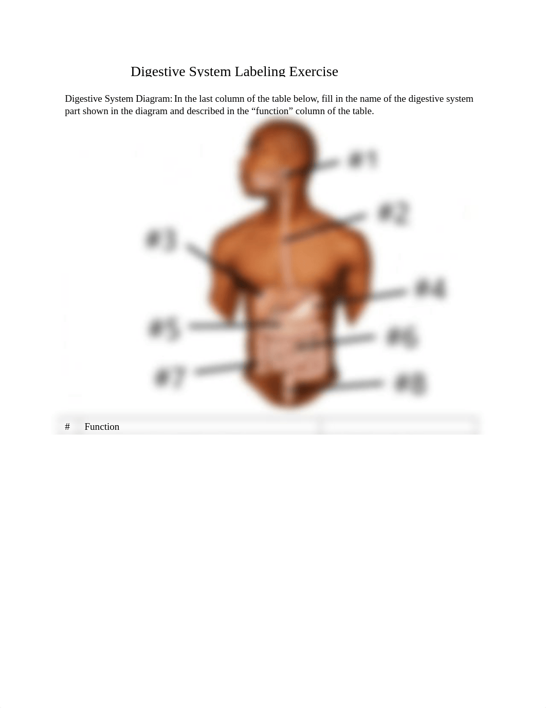 Digestive labeling exercise answer key.docx_djq1aasn3pr_page1