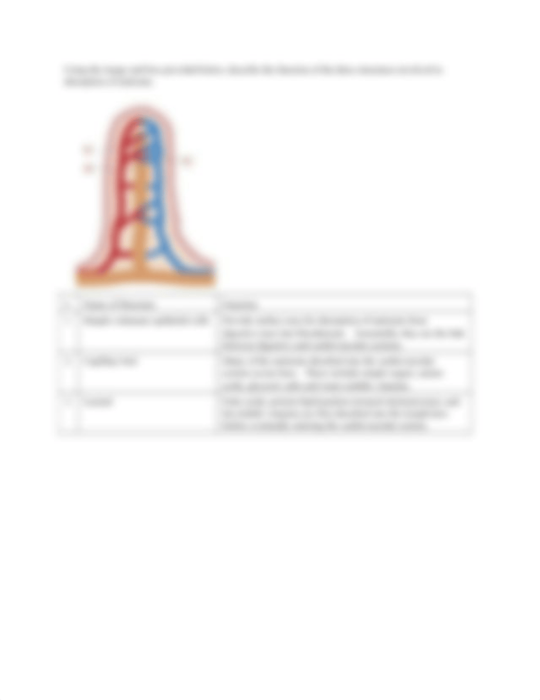 Digestive labeling exercise answer key.docx_djq1aasn3pr_page3