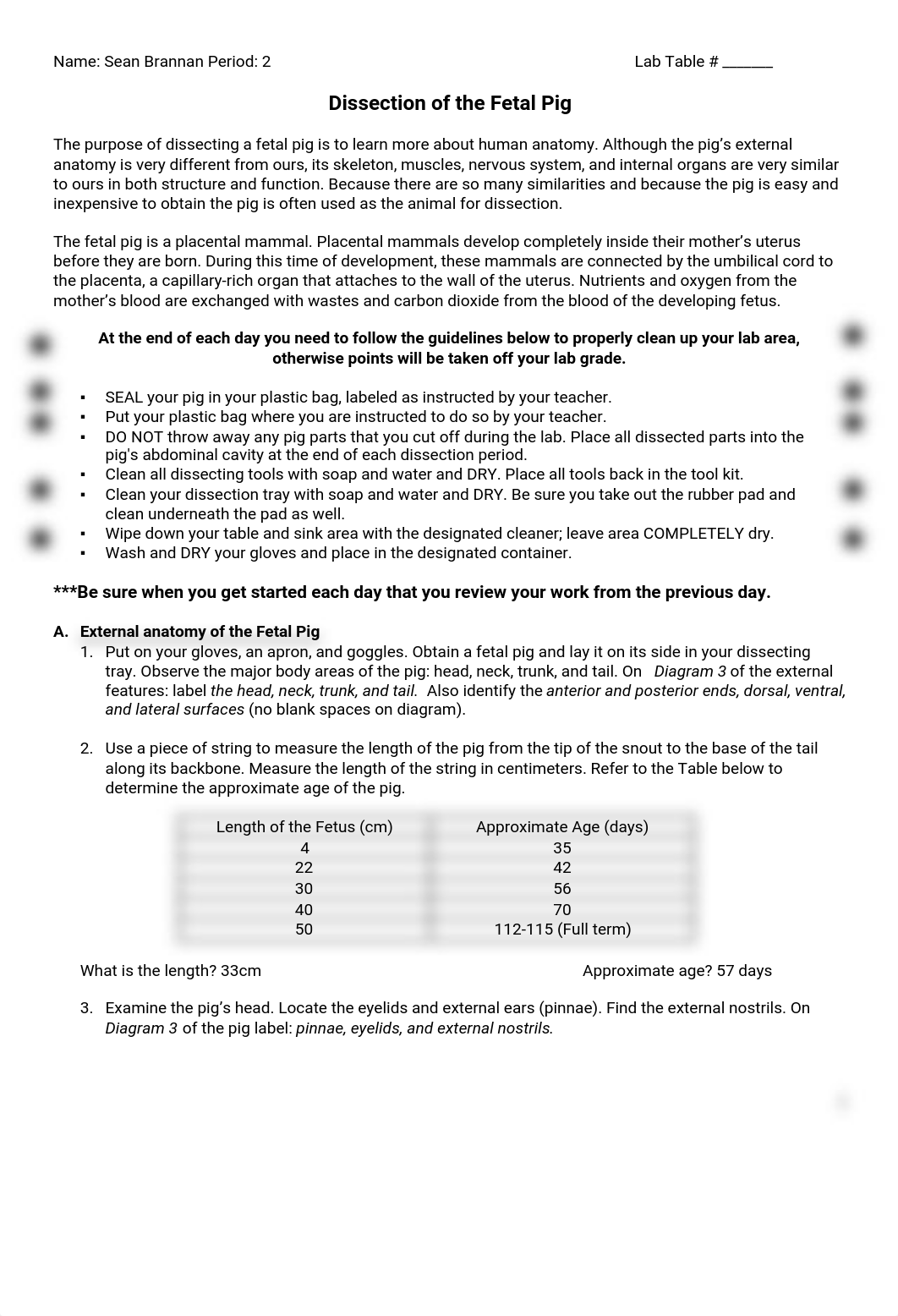 Kami Export - SEAN BRANNAN - Fetal Pig dissection packet.pdf_djq3ja9de1c_page1