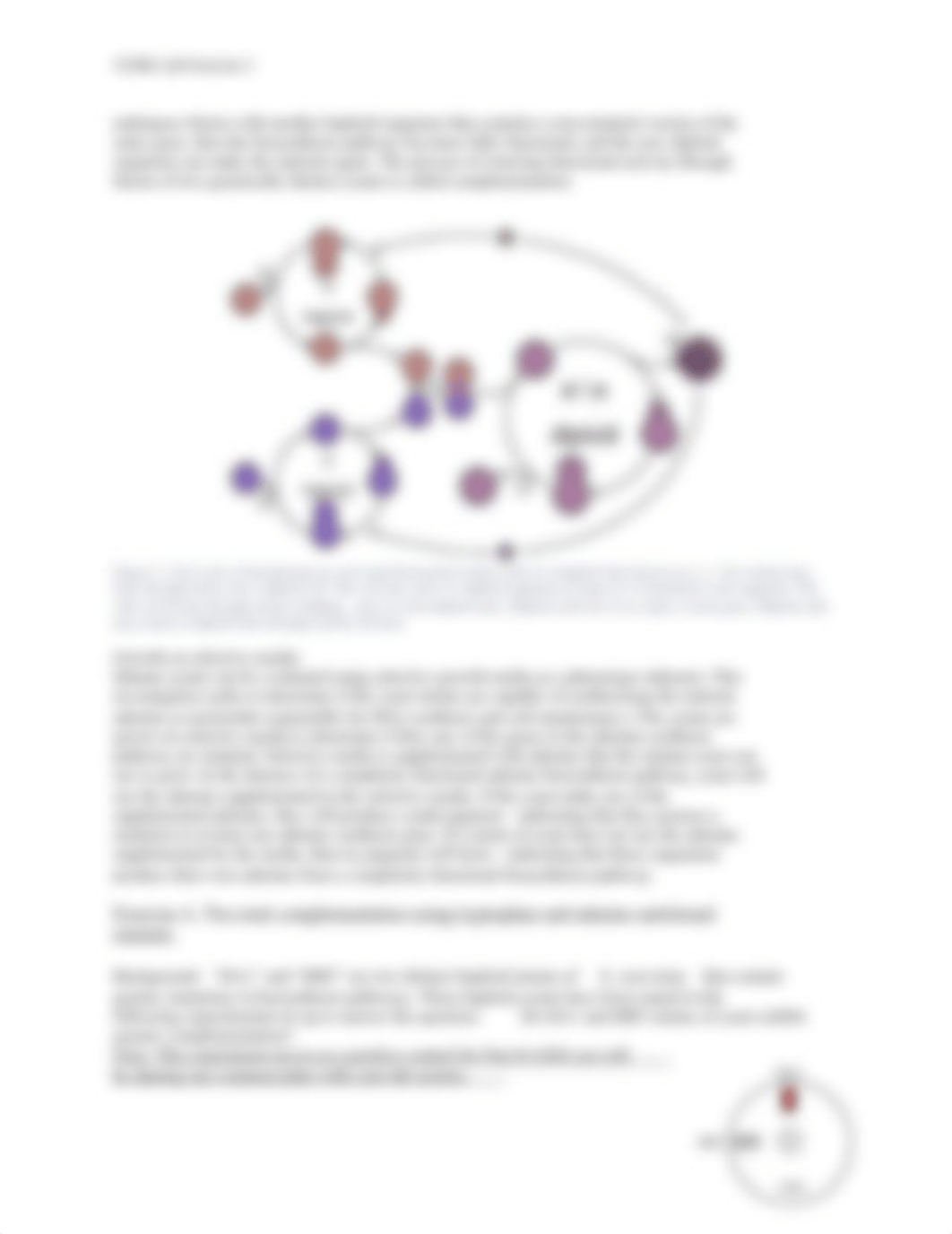 Lab 2 Yeast Complementation.docx_djq6va91kb3_page3