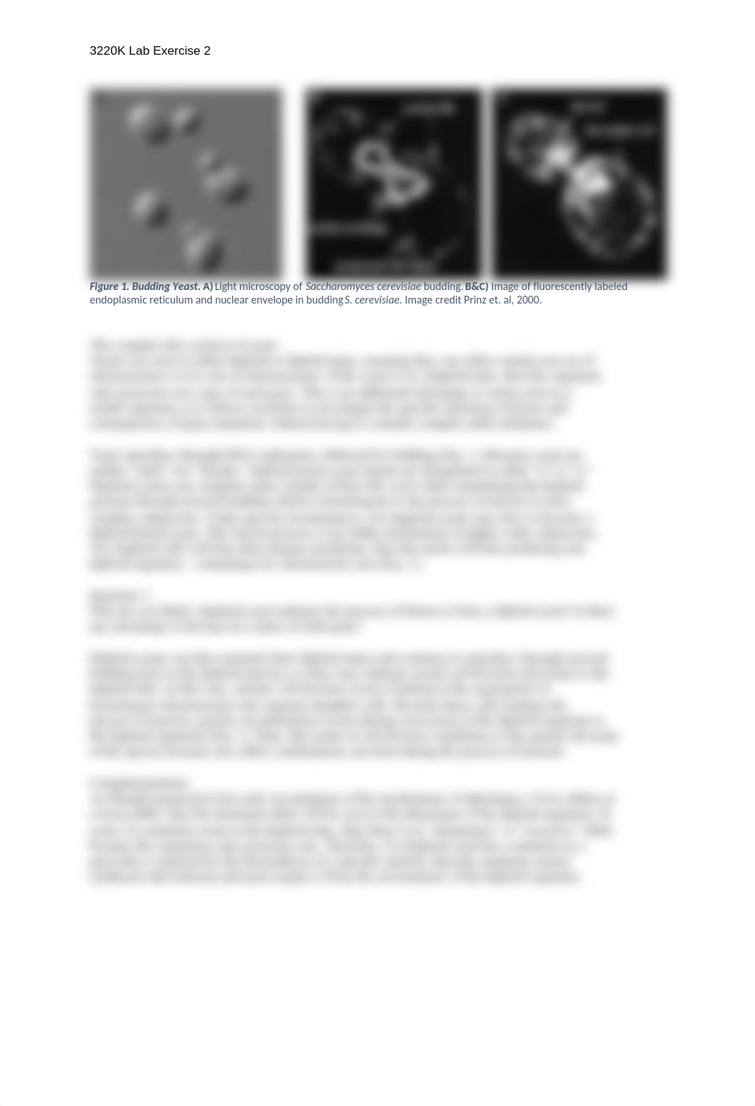 Lab 2 Yeast Complementation.docx_djq6va91kb3_page2