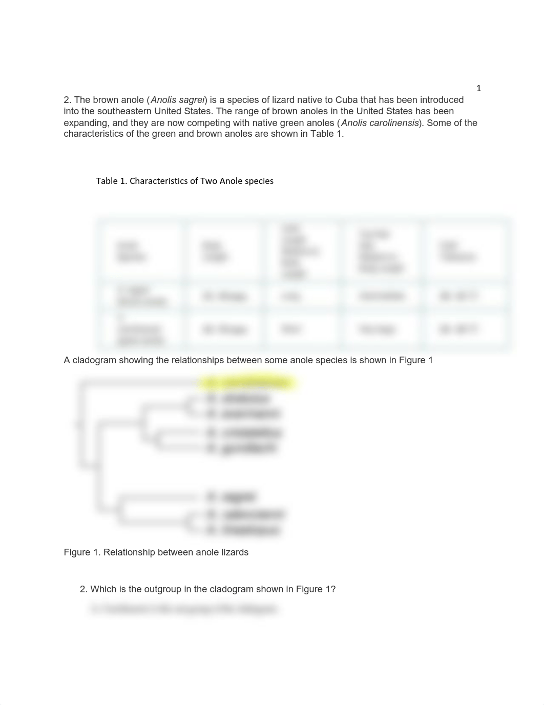 Kami Export - Darrin Greaves - Cladogram Quiz 2021.pdf_djqccdh4vma_page2