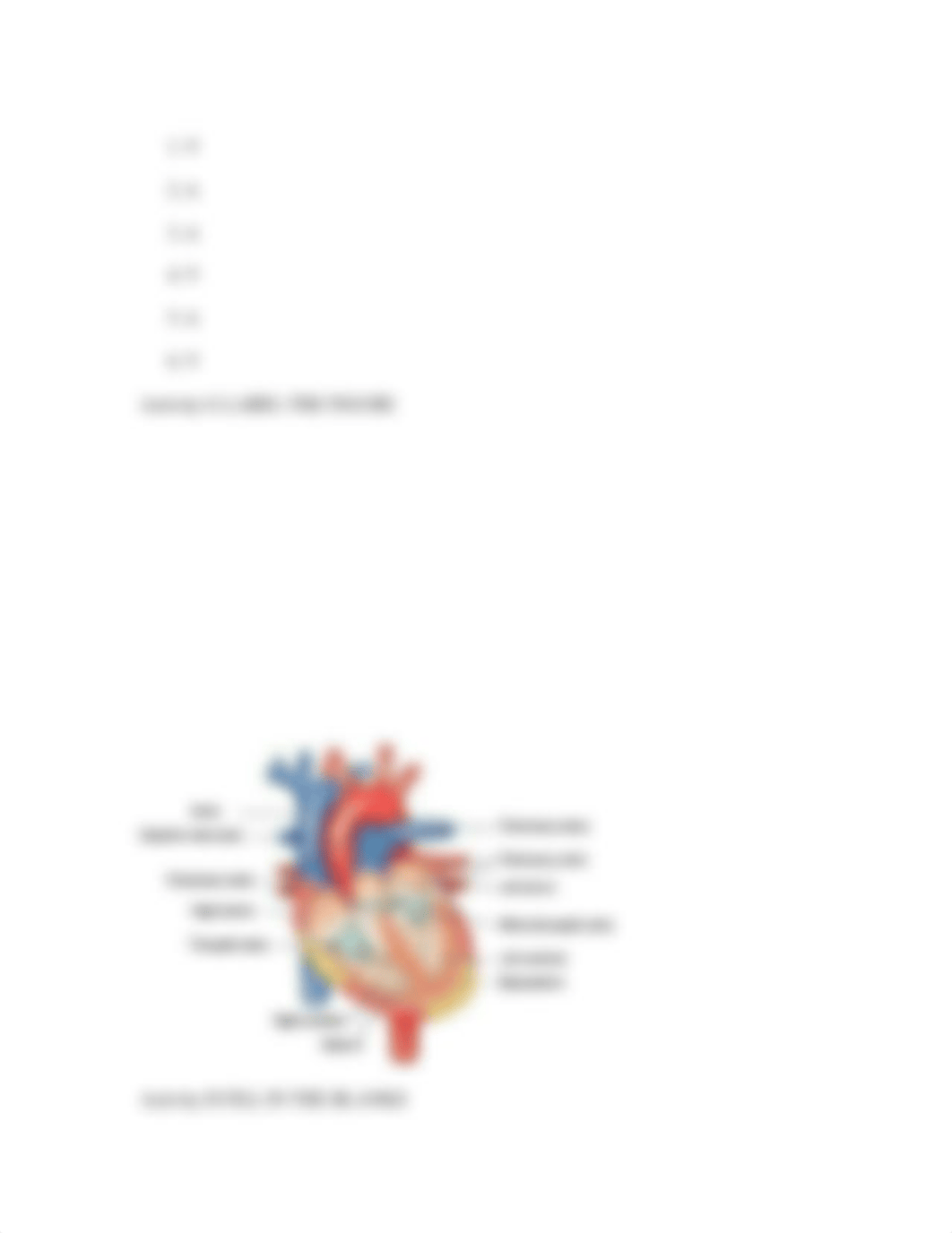 Carter_4e_AQWorkbook_Chapter31.doc_djqgpizvy14_page3