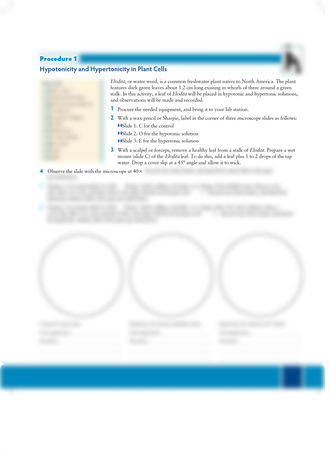 Exercise 8.2 Procedure 1-2.pdf_djqh1ju6g6v_page1