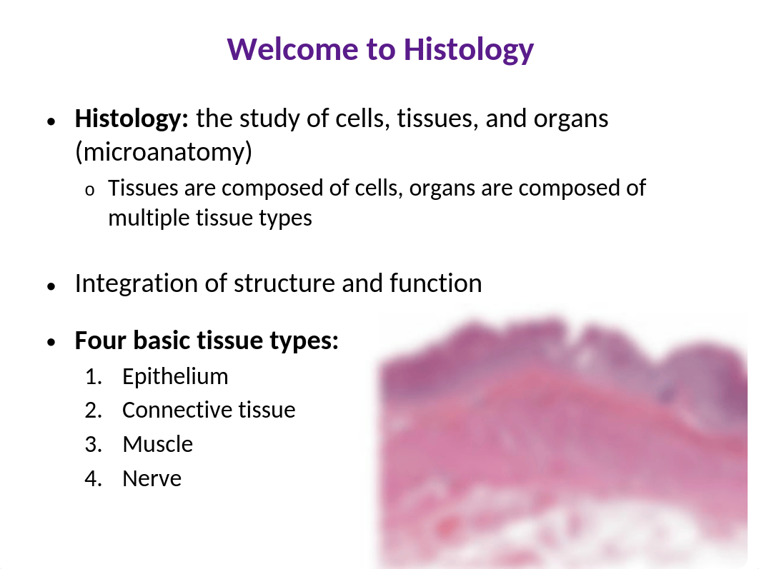 Histo 1-Histology Intro 2020.pptx_djqn92kyyno_page2