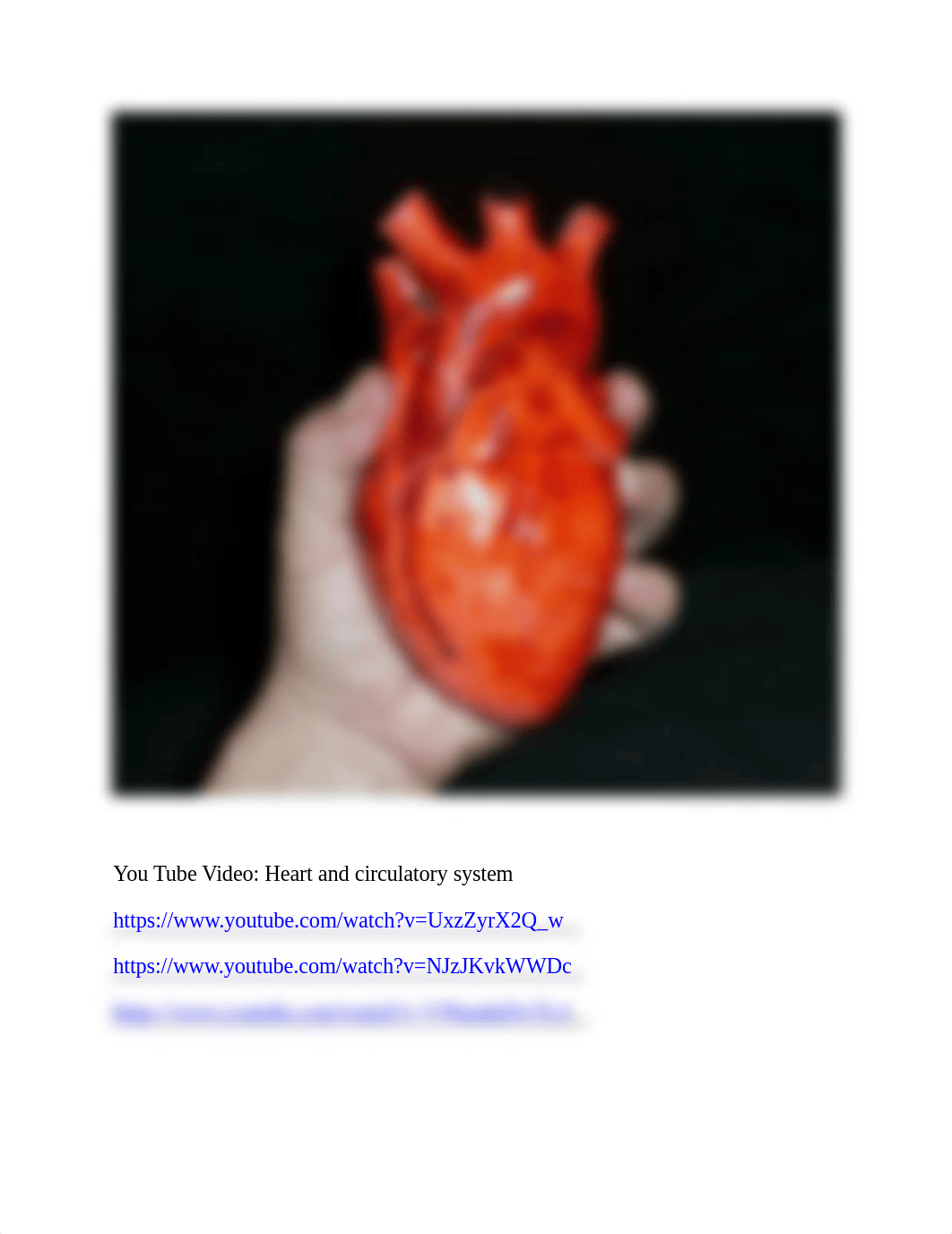 Human Heart models  and  Coronary  Circulation.docx_djqne3y49qi_page5