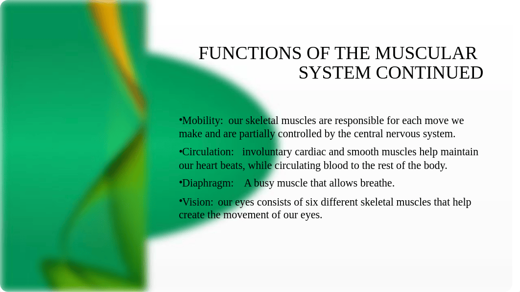 My system analysis final project Muscular System forearm extensors.pptx_djqpxmth1t2_page4