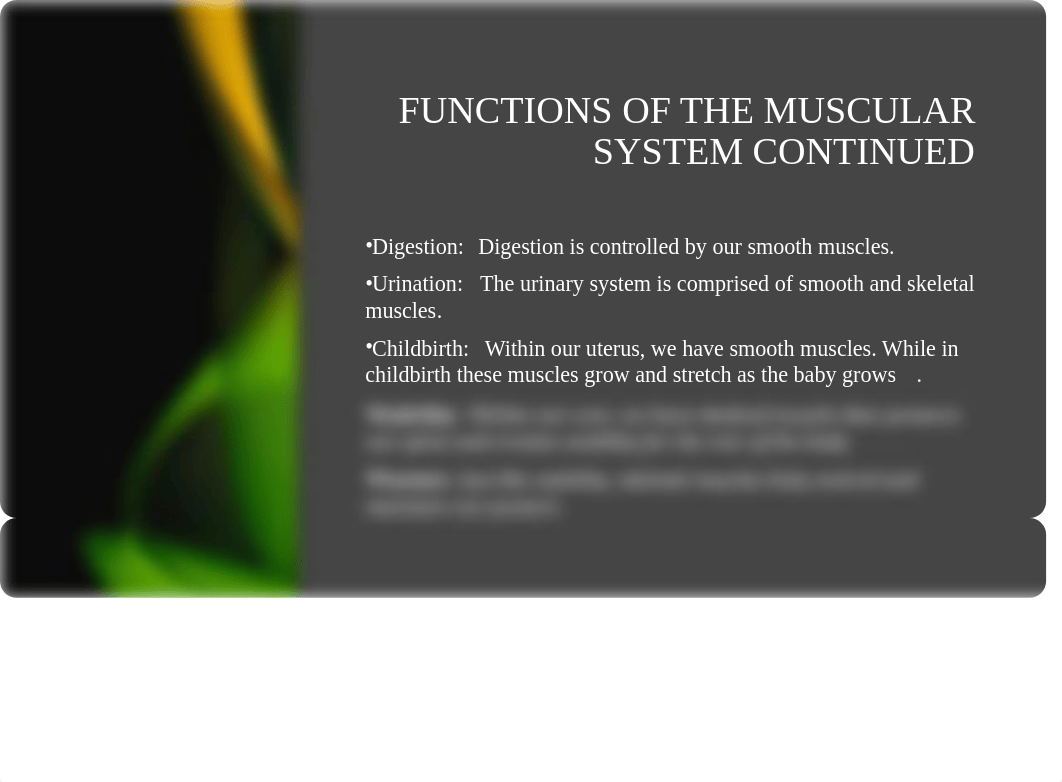 My system analysis final project Muscular System forearm extensors.pptx_djqpxmth1t2_page5