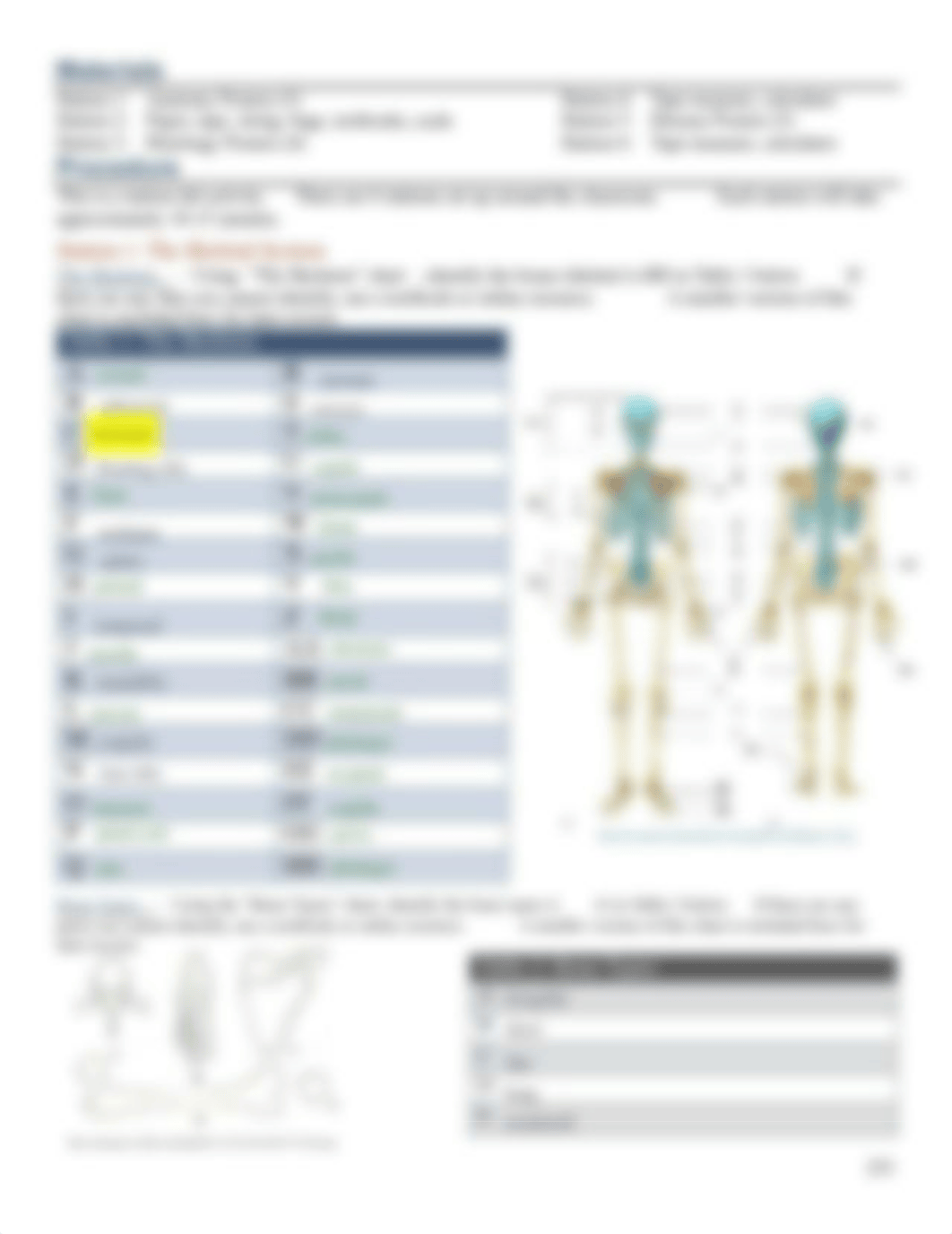 Kami Export - NICOLE MAROTZKE - HASPI_the_skeletal_system2017 (1).docx.pdf_djqvid2e587_page3