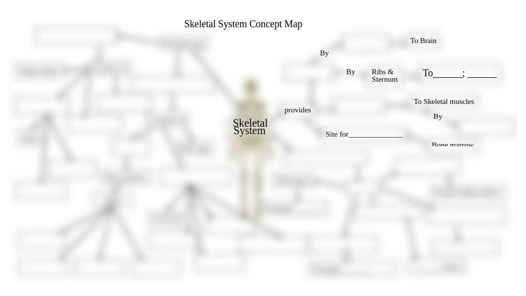 Skeletal System Concept Map.pdf_djqwwpaijnh_page1