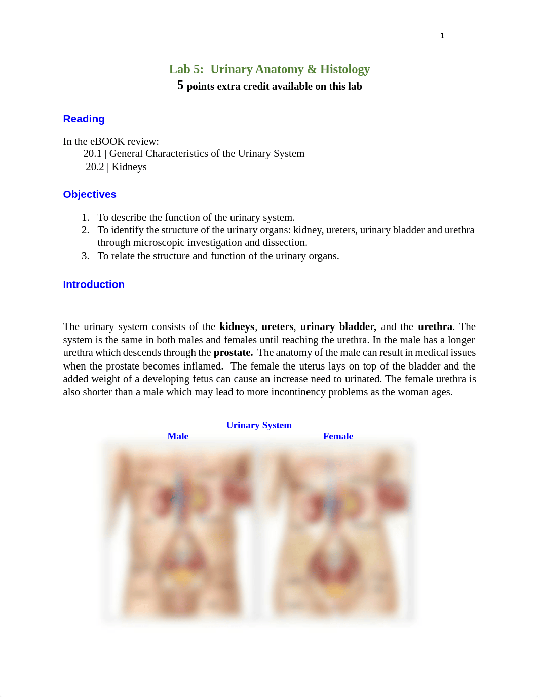 Lab 5 Assignment.pdf_djqxpk1nesv_page1