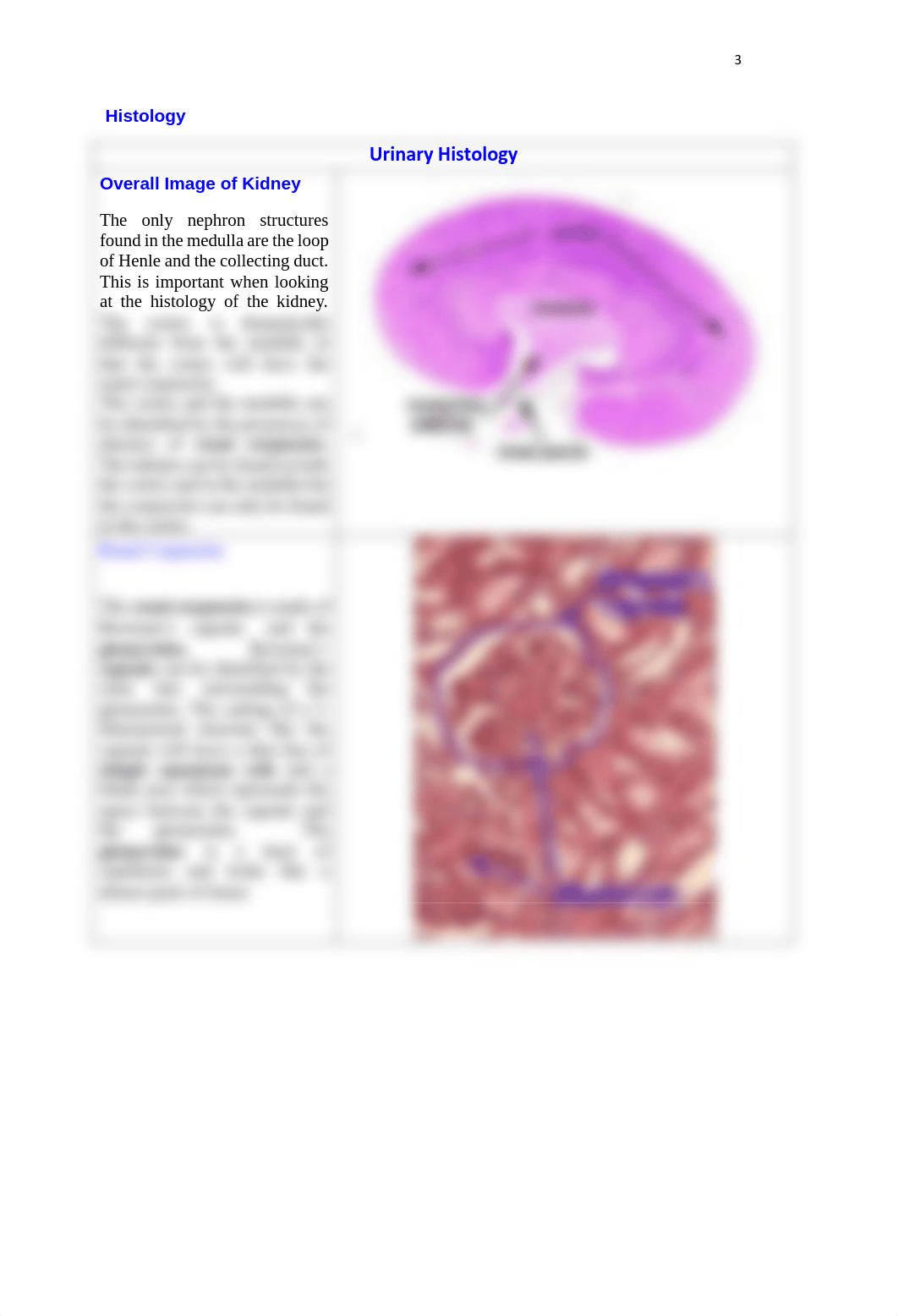 Lab 5 Assignment.pdf_djqxpk1nesv_page3