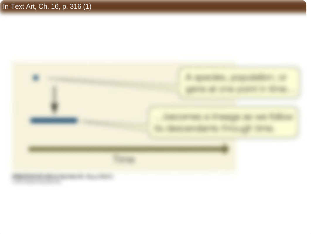 Ch16_Figures-Reconstructing_and_Using_Phylogenies.ppt_djr9i7f1vv8_page2