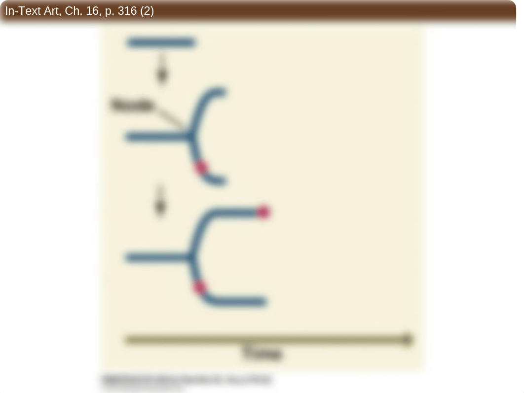 Ch16_Figures-Reconstructing_and_Using_Phylogenies.ppt_djr9i7f1vv8_page5