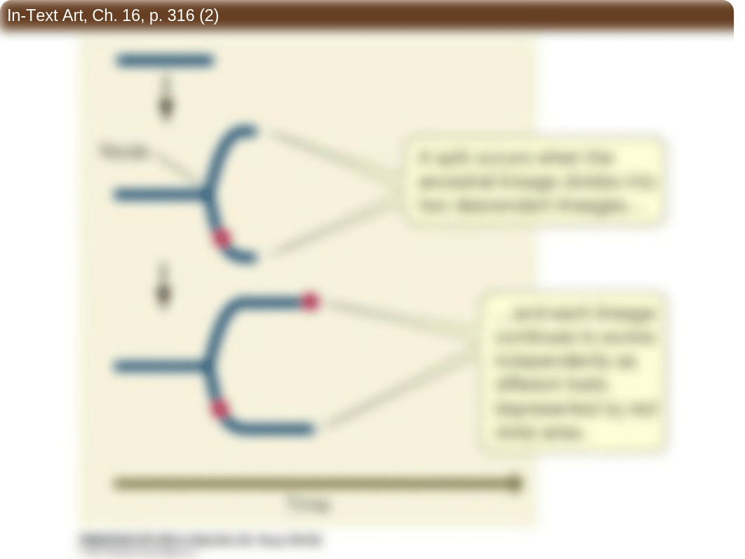 Ch16_Figures-Reconstructing_and_Using_Phylogenies.ppt_djr9i7f1vv8_page4